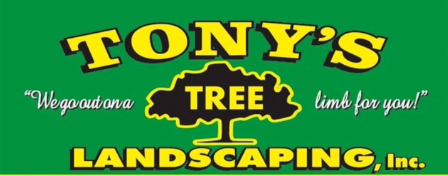 Tony Tree Service