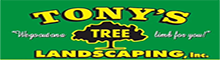 Tony Tree Service